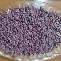 لوبیا قرمز بوجاری شده