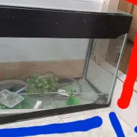 اکواریوم