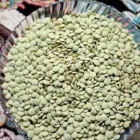 عدس درجه یک قاقازان - تاکستان