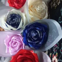 گل‌‌زیبا‌ربانی