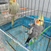 قیمت ۳۰۰۰۰۰۰۰ میلیون ریال