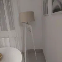 اباژور کنار سالنی