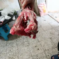 اسکلت بوقلمون وتمام قطعات بوقلمون موجود هست