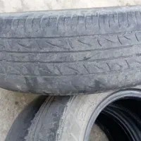لاستیک پرایددرحد