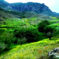 معاملات علمی تخصصی ملک های مسکونی،تجاری،صنعتی،باغ