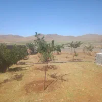ویلا ۴دیواری ۵۵۰ متری ۲۳/۵ در۲۳/۵