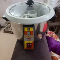 پلوپزبرقی
