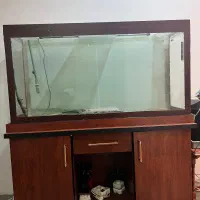 فروش آکواریوم