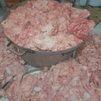 چربی بدن گوساله شحله