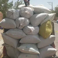 خارشتری