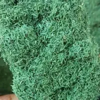 سبزیجات خشک طبس