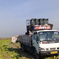 باربری و حمل انواع بار با خاور ایسوزو