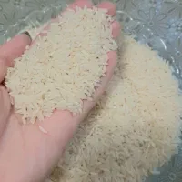 برنج هاشمی درج یک
