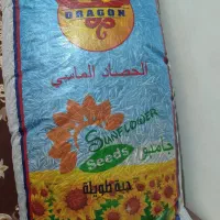 تخمه آفتابگردون جانبو