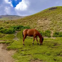 لطفا راهنمایی کنید