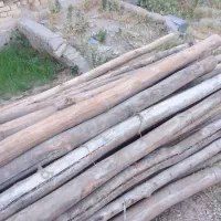 نیازمند کارگر برا بارگیری چوب لاله زار