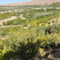 اجاره روزانه منزل ویلایی درشهر بلداجی ،چغاخور،سیبک