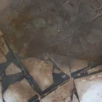 موزاییک شور