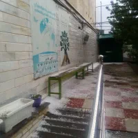 سالمندان ماندگاران