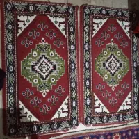 موکت دست دوم|موکت|تبریز, |دیوار