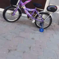 روچرخه ۱۶ بنفش صندوق دار