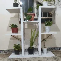 سلام جا گلدونی  هشت طبقه