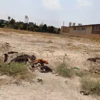 زمین-شهر-صنعتی-سپهر-نظراباد