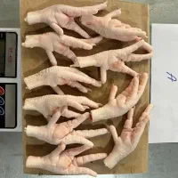 فروش پای مرغ ((الایش))ارسال رایگان