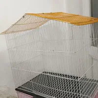 قفس  32 در 50