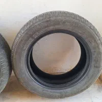 لاستیک گلدستون