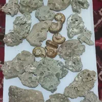 سنگ آکواریوم تزئینی