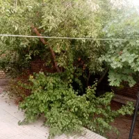 خانه-ویلایی-خیابان-آزادگان