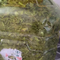 تره کوه سفید