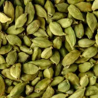 این همونیه که توی دیوار دنبالش می‌گردن