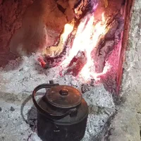 فقط معاوضه