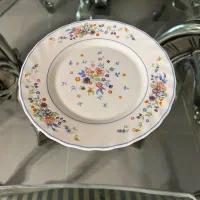 میوه خوری ویکتوریا اصل فرانسه ( ۱ عدد)