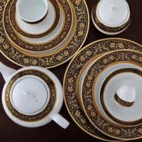 سرویس چینی زرین مدل مید نایت