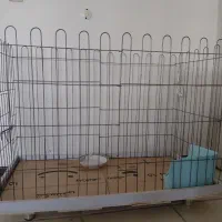 قفس بزرگ خرگوش و سگ کوچک