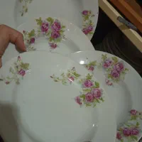 گل سرخی