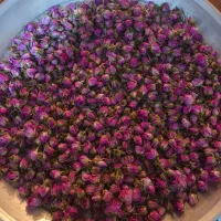 گل محمدی|گل و گیاه طبیعی|یاسوج, |دیوار
