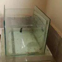 اکواریوم