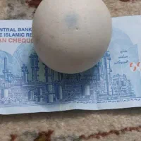 الماس اسیا*ب