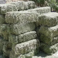 یونجه مرغوب
