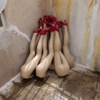 ۸ عدد مانکن پا زنانه