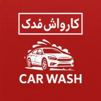 نیرو کارواش