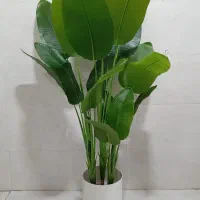 پخش عمده گل مصنوعی فارس گل