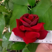 گلهای رز مخمل مخصوص ولنتاین