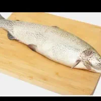 قزل ازاد (رودخانه ایی)