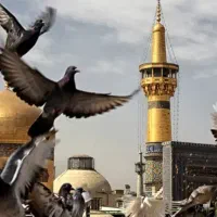 یا ضامن آهو