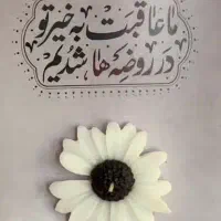 گیفت گل بابونه